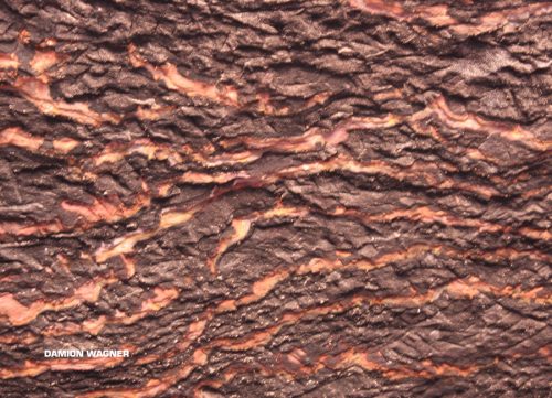 Ceiling Of Petra