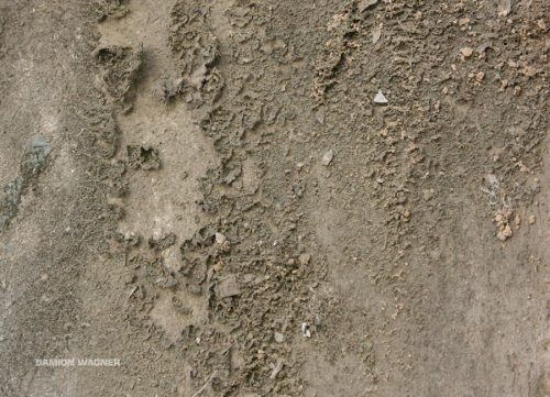 Peeling Paint Mud